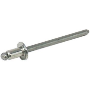 10 REMACHES MONEL DE 6,4 x 12,5 mm