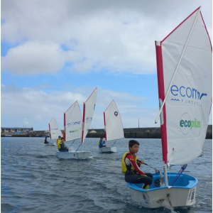 optimist sail envergada ex1061w