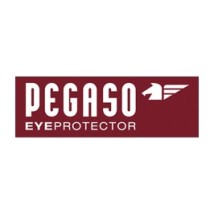 PEGASO eyeprotector